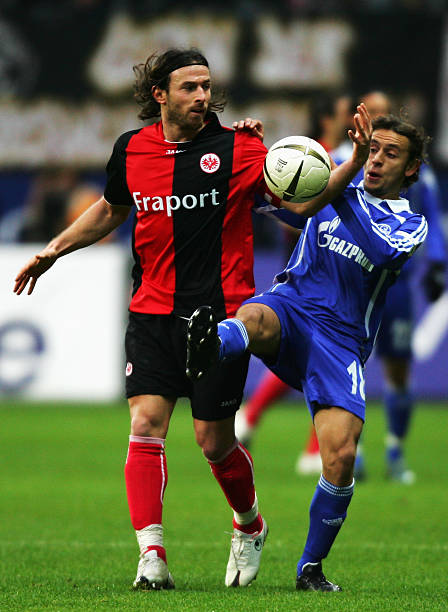 这为他赢得 这为他赢得