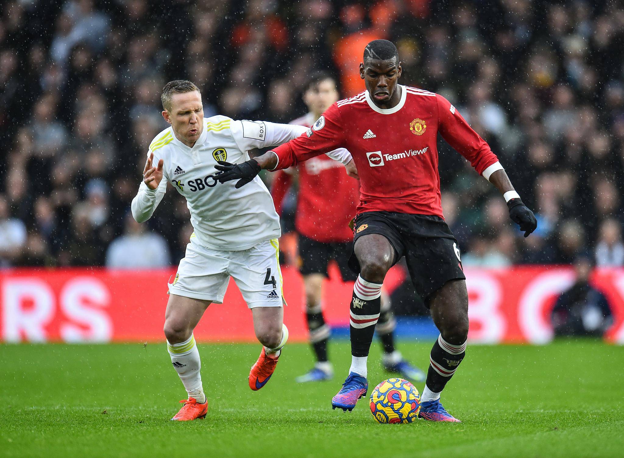 败的另一个 败的另一个